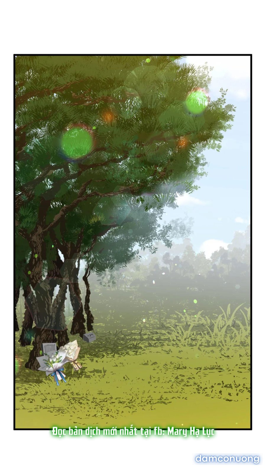 chị kế 