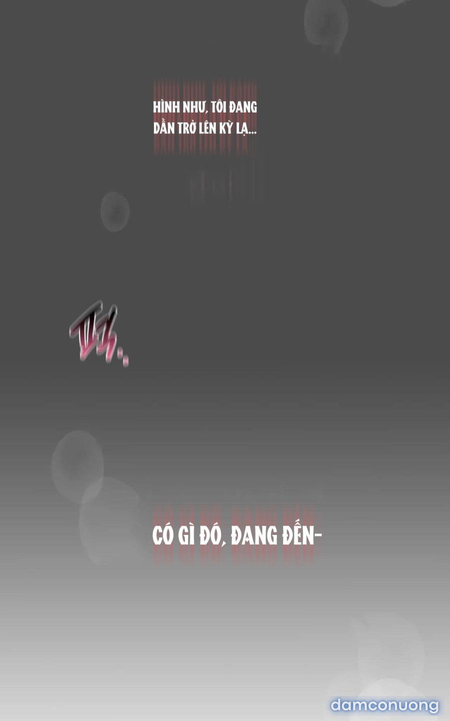 chị kế 