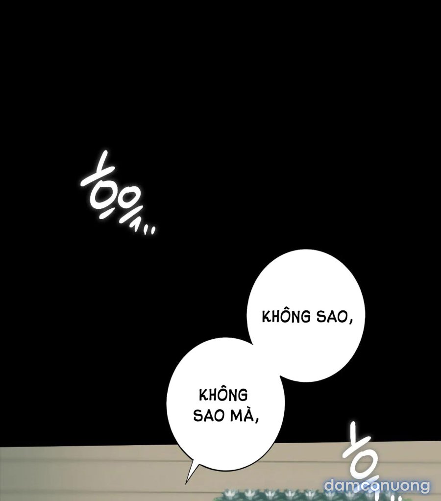 chị kế 