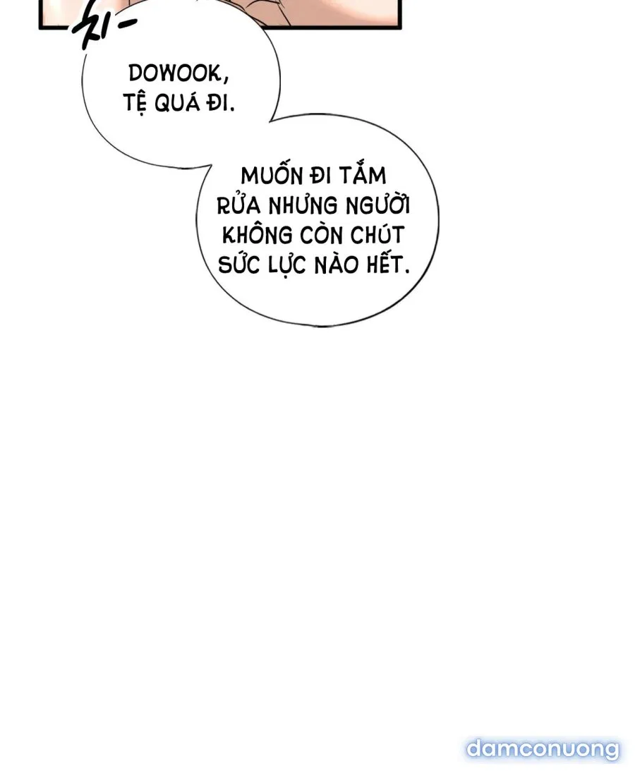 chị kế 