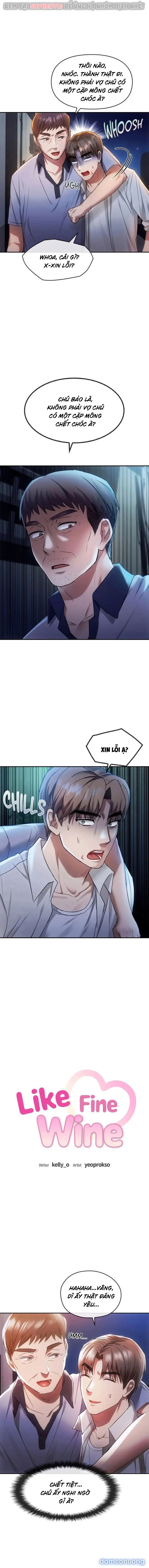 Cưỡng Không Nổi Dì Ơi 