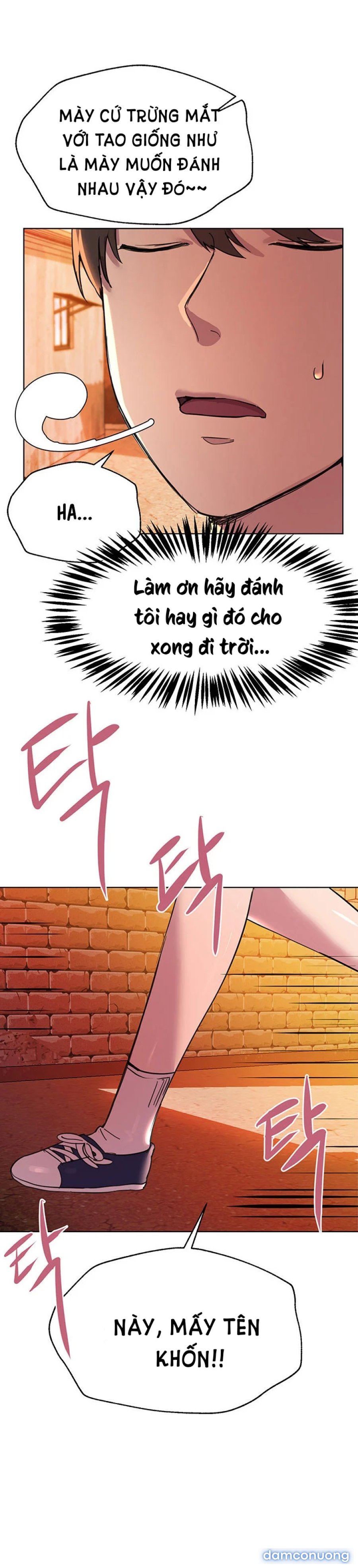 Những Người Bạn Của Chị Tôi 