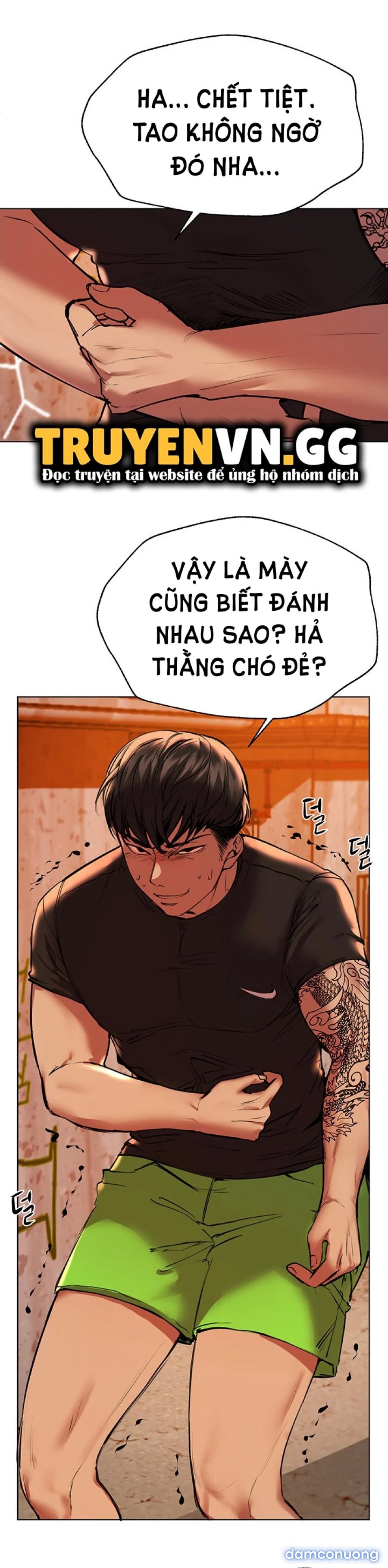 Những Người Bạn Của Chị Tôi 