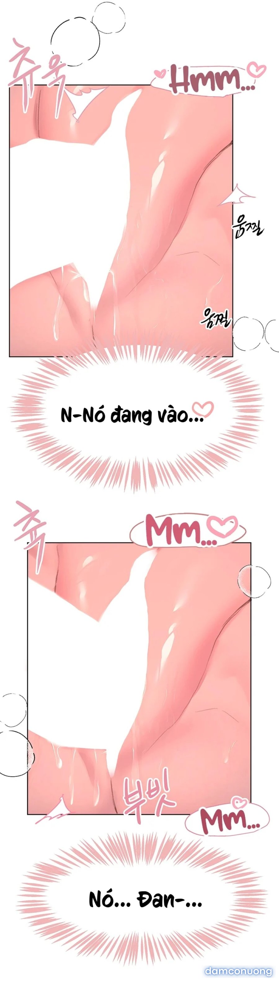 Những Người Bạn Của Chị Tôi 