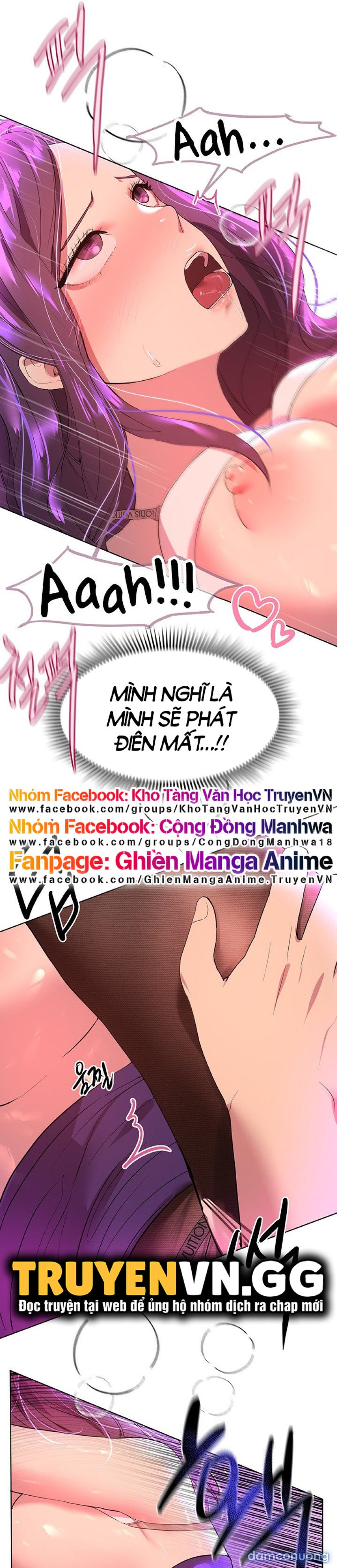 Những Người Bạn Của Chị Tôi 