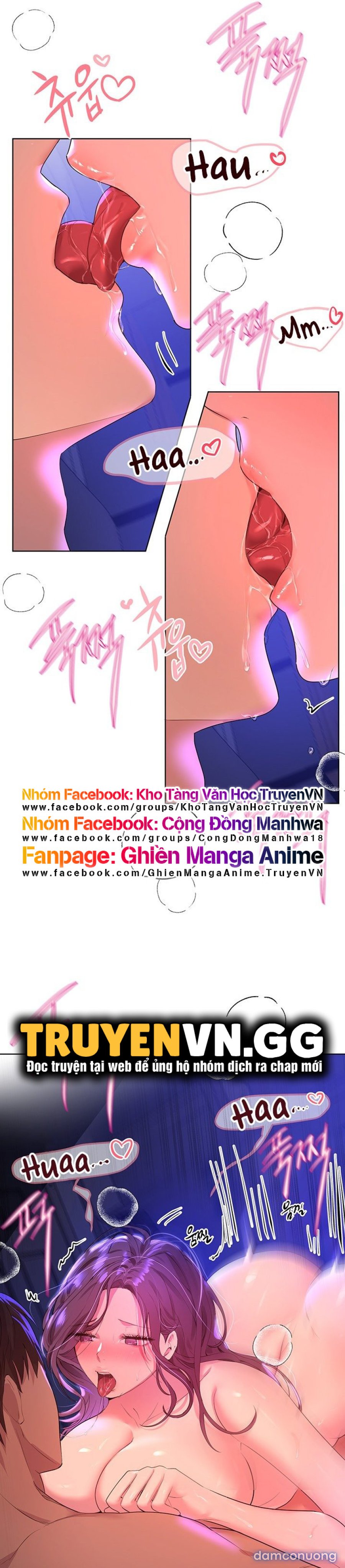 Những Người Bạn Của Chị Tôi 