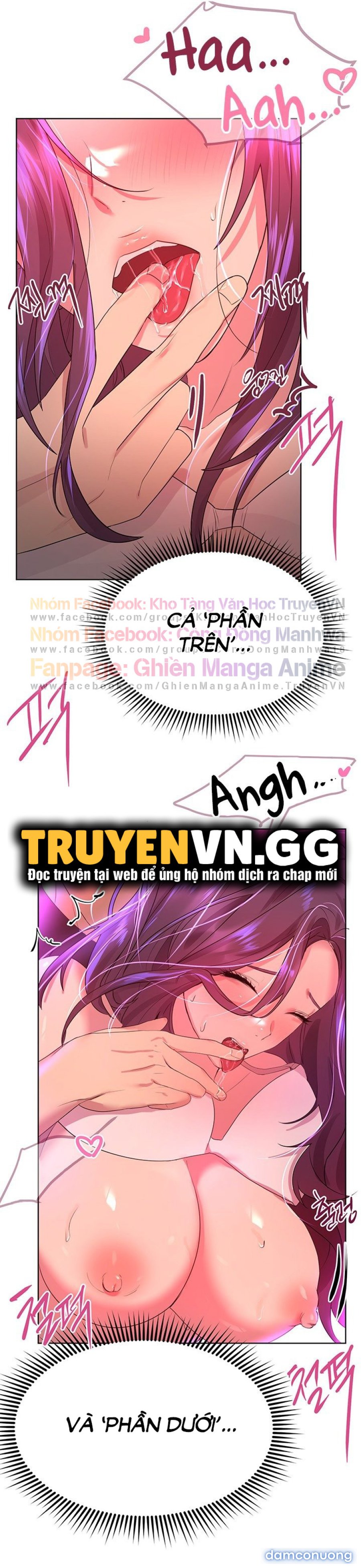 Những Người Bạn Của Chị Tôi 