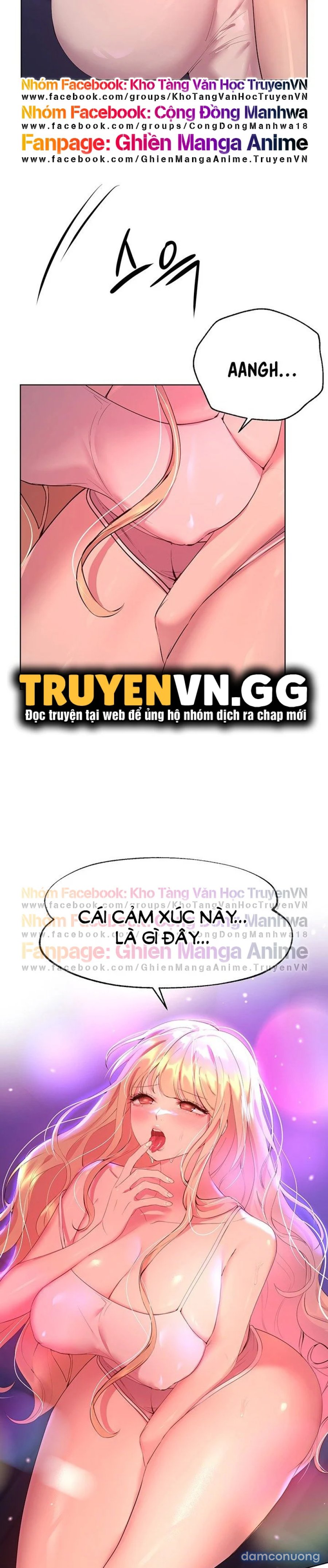 Những Người Bạn Của Chị Tôi 
