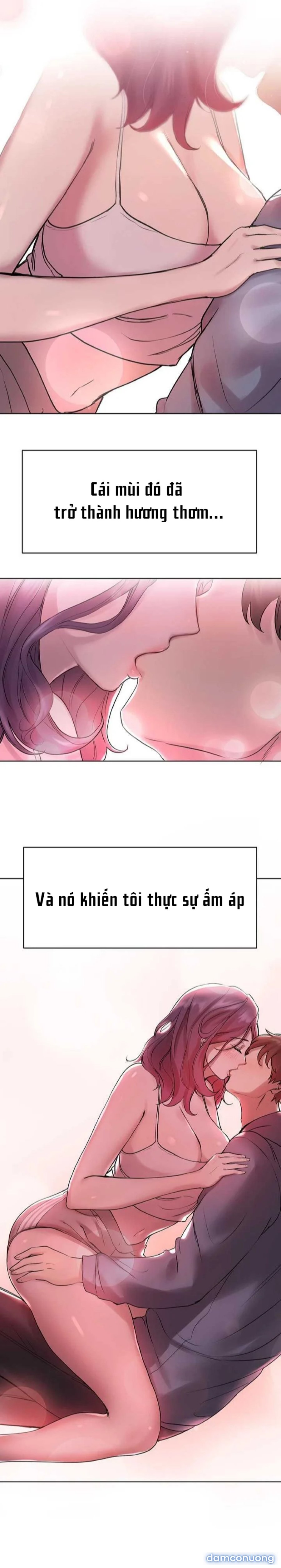 Những Người Bạn Của Chị Tôi 