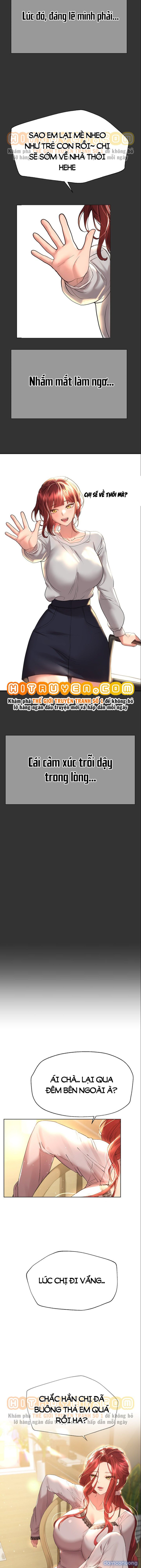 Những Người Bạn Của Chị Tôi 