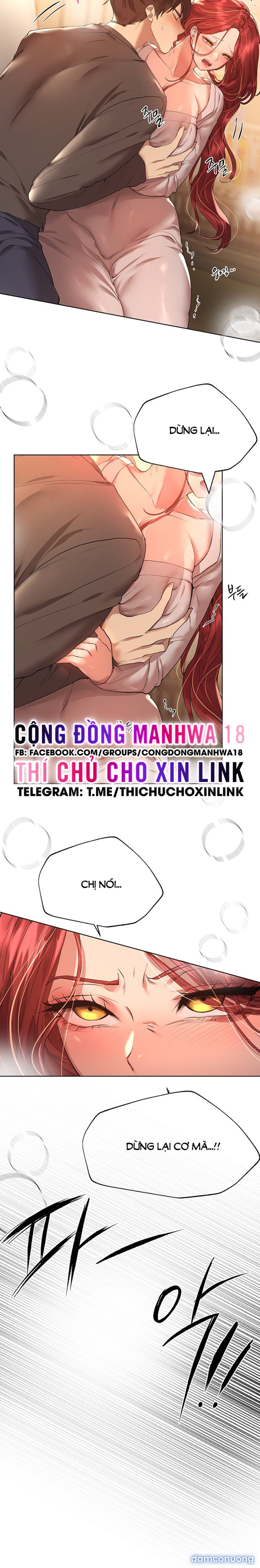 Những Người Bạn Của Chị Tôi 