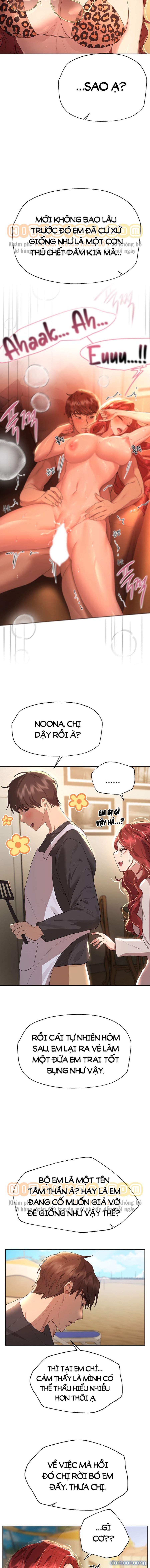 Những Người Bạn Của Chị Tôi 