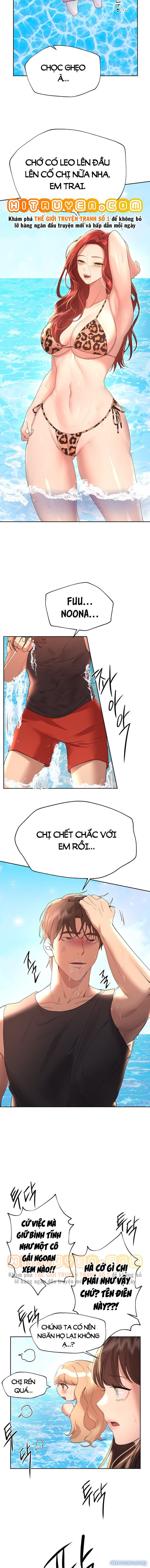 Những Người Bạn Của Chị Tôi 