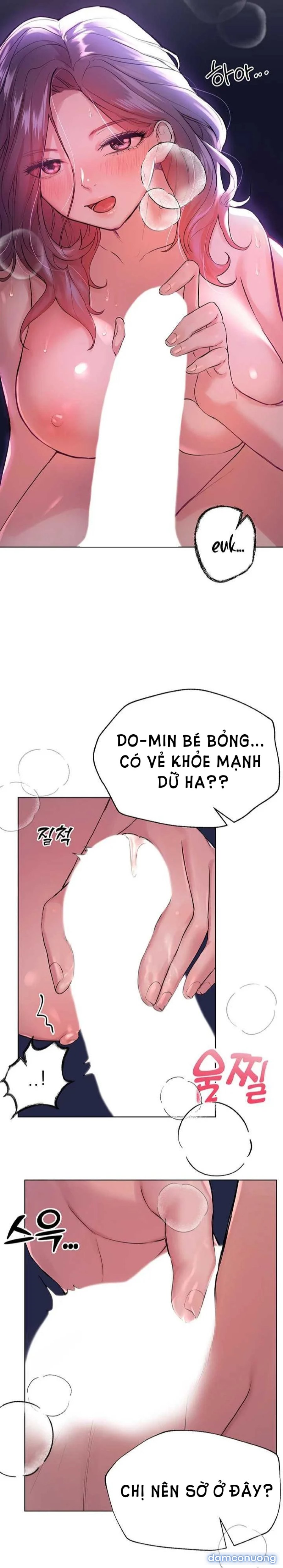 Những Người Bạn Của Chị Tôi 