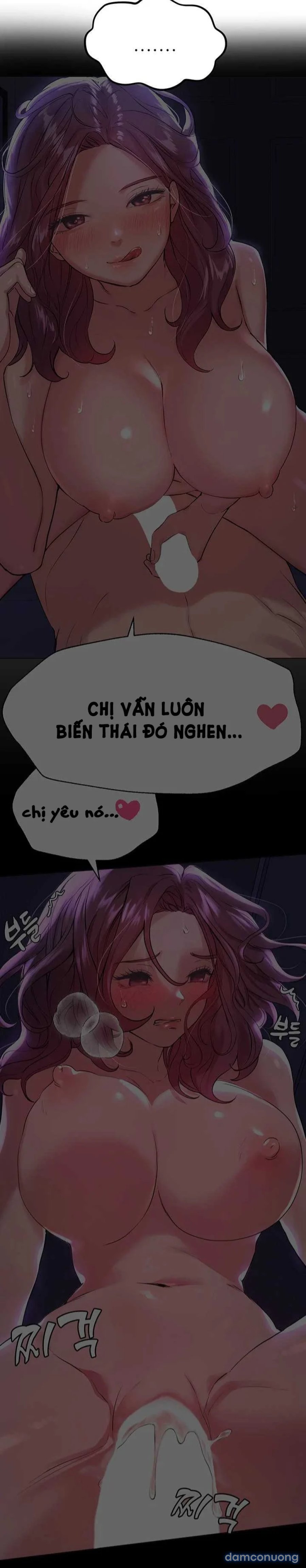 Những Người Bạn Của Chị Tôi 