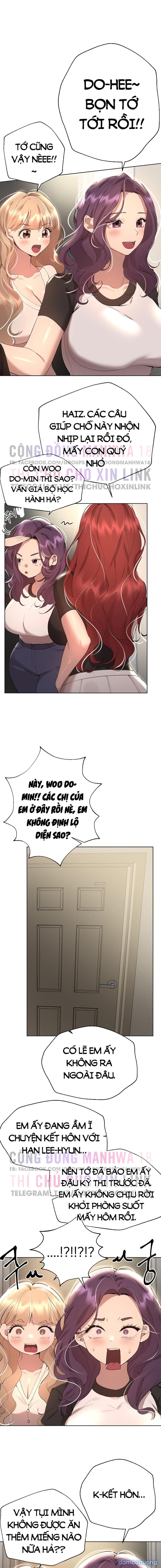 Những Người Bạn Của Chị Tôi 