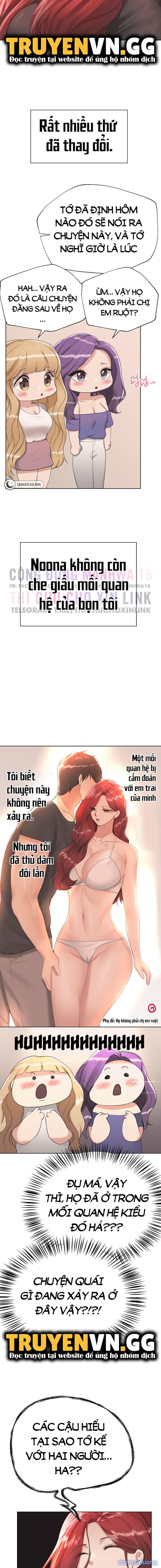 Những Người Bạn Của Chị Tôi 
