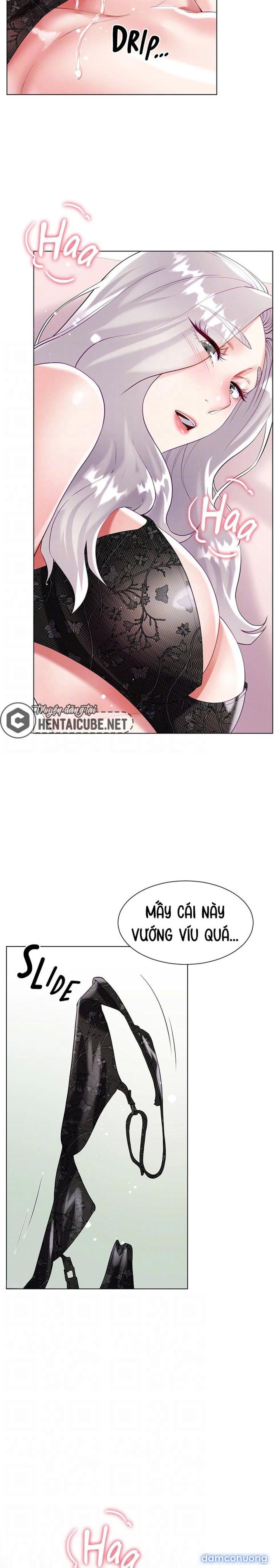 Váy Của Chị Dâu 