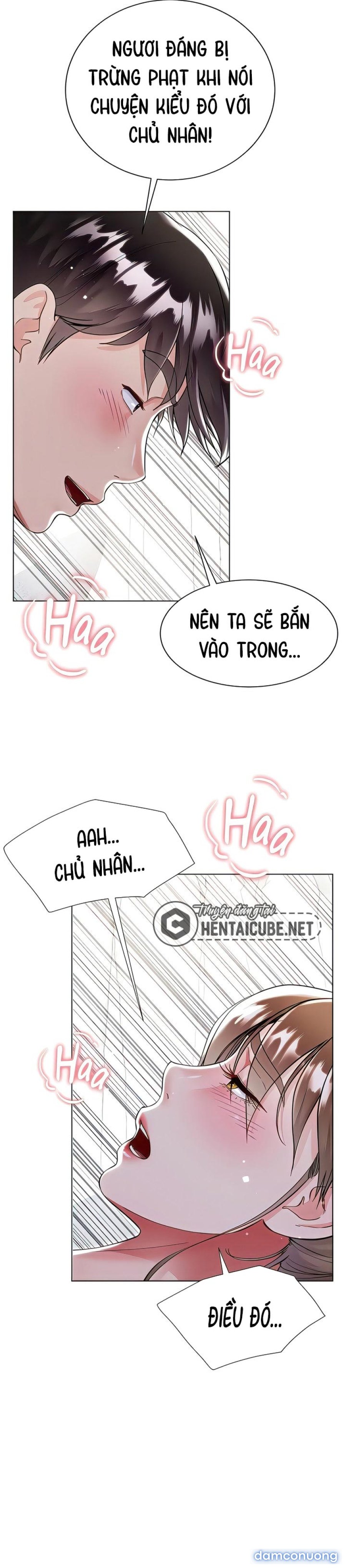 Váy Của Chị Dâu 