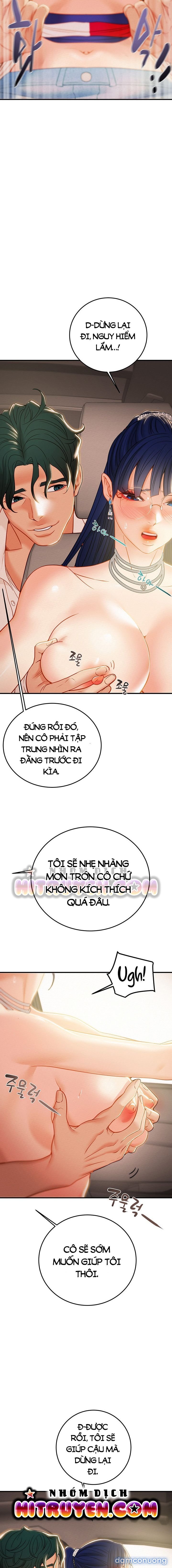 Cây Búa Thần 