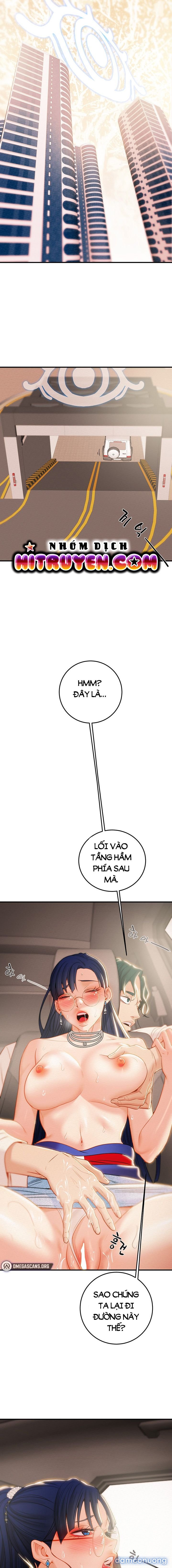 Cây Búa Thần 
