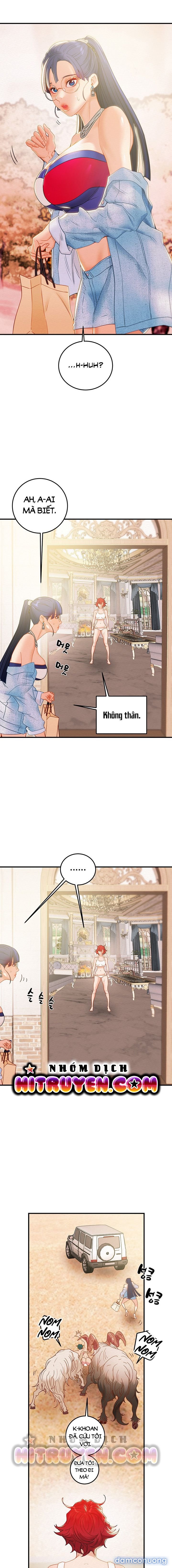 Cây Búa Thần 