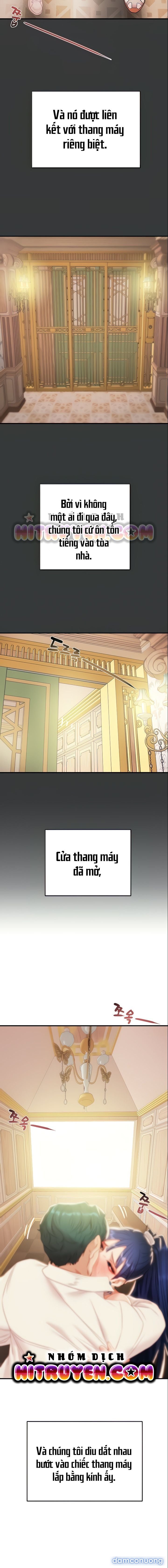 Cây Búa Thần 