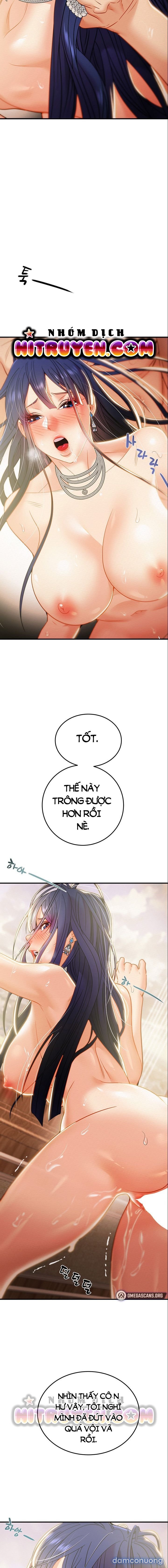 Cây Búa Thần 