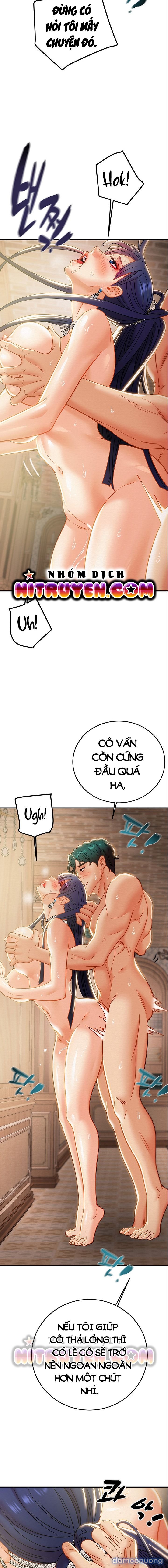 Cây Búa Thần 