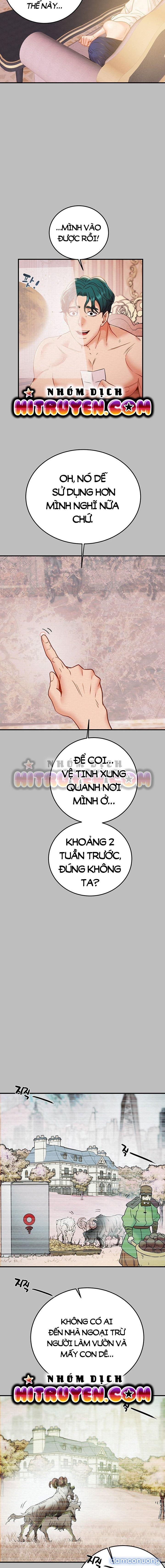 Cây Búa Thần 