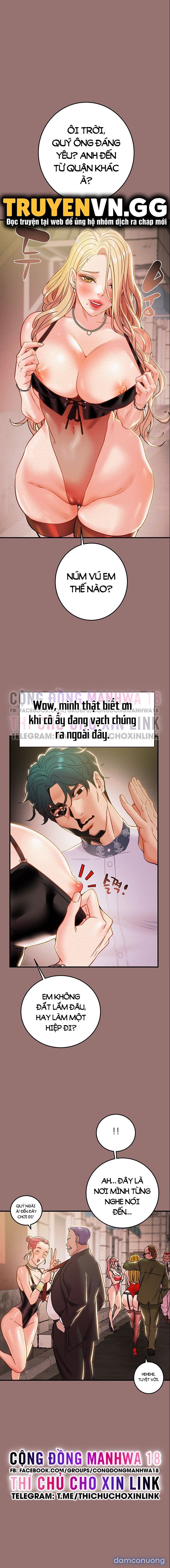 Cây Búa Thần 