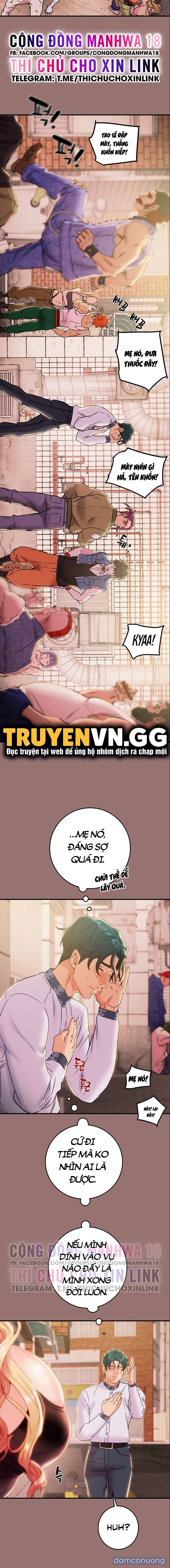 Cây Búa Thần 