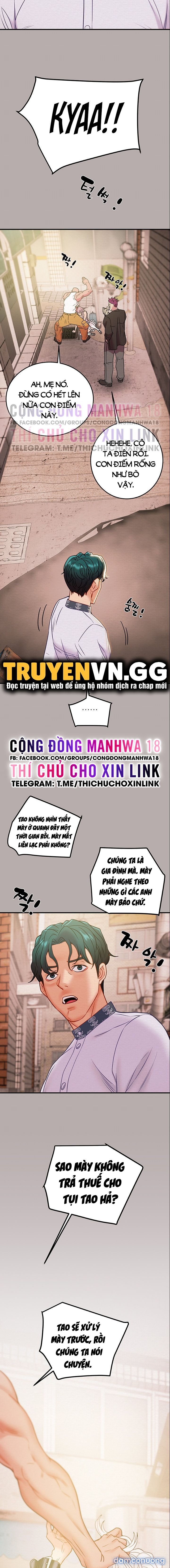 Cây Búa Thần 