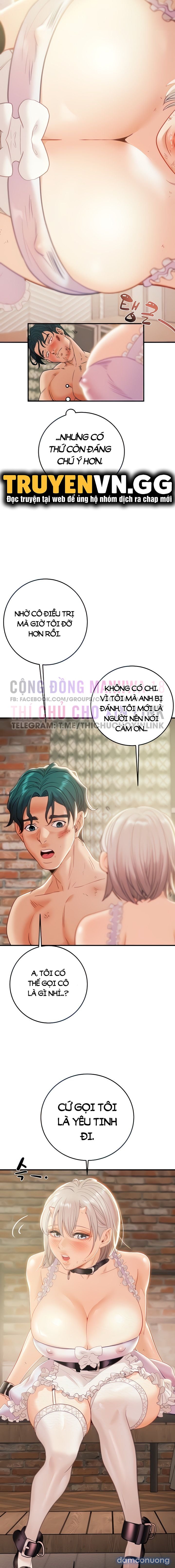Cây Búa Thần 
