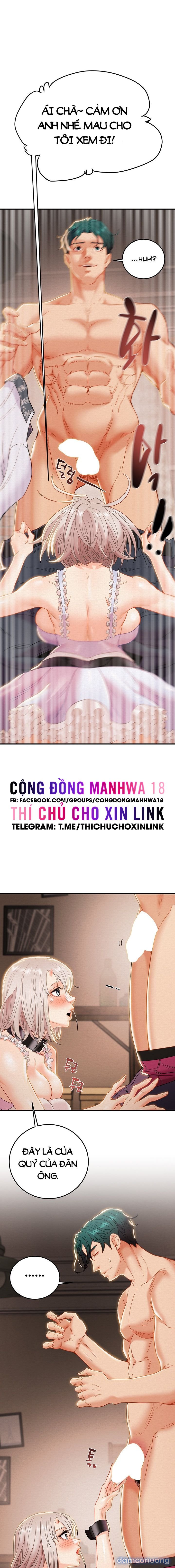 Cây Búa Thần 