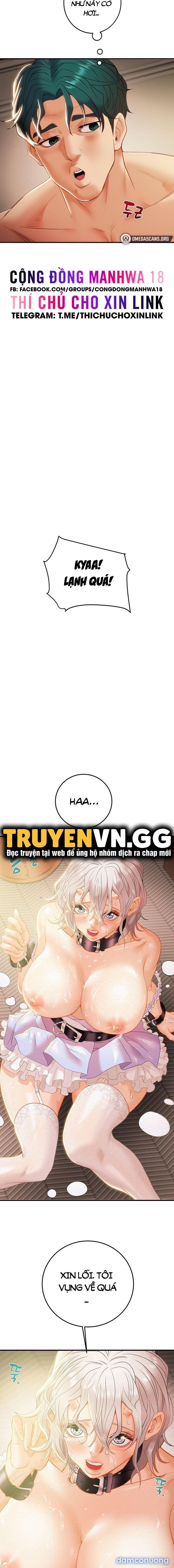Cây Búa Thần 