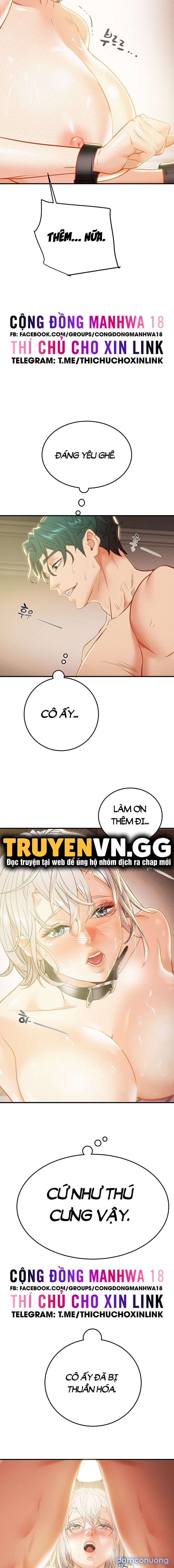 Cây Búa Thần 