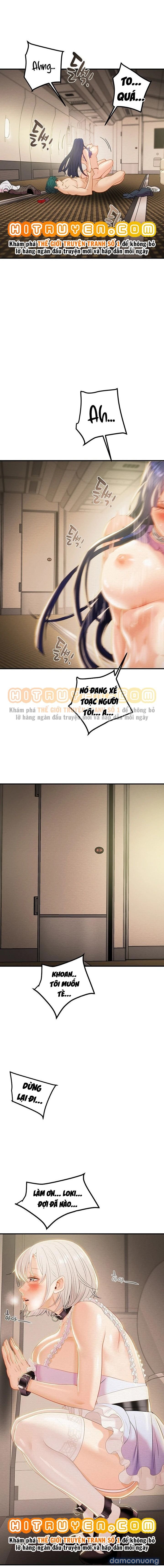 Cây Búa Thần 
