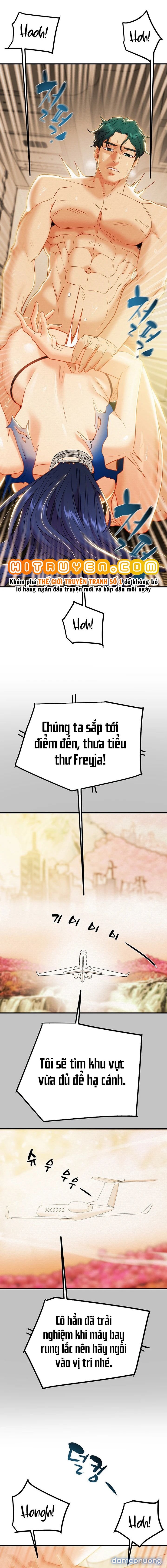 Cây Búa Thần 
