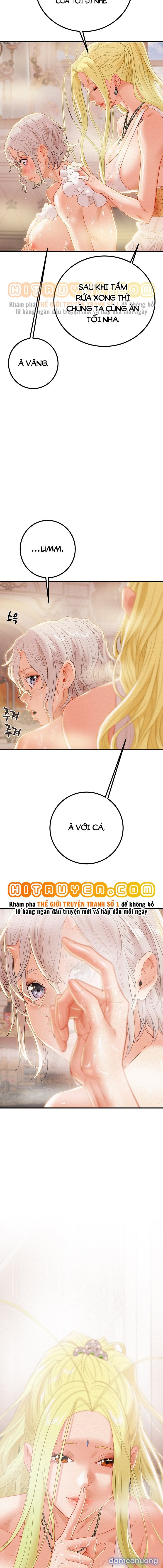 Cây Búa Thần 