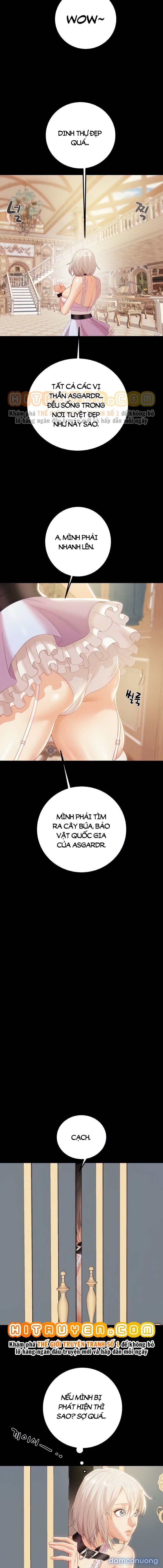Cây Búa Thần 