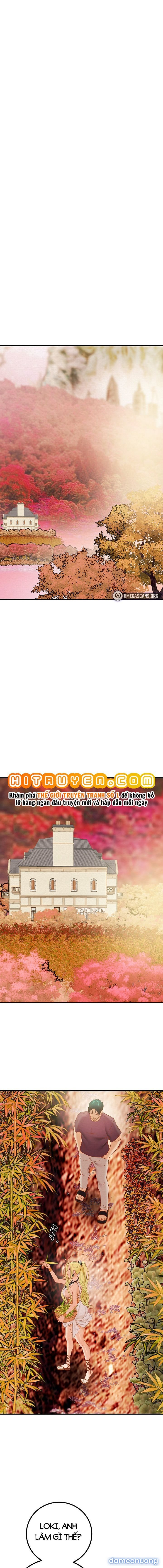 Cây Búa Thần 