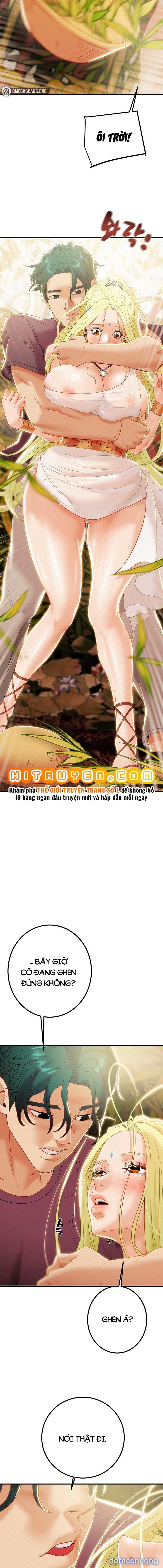 Cây Búa Thần 
