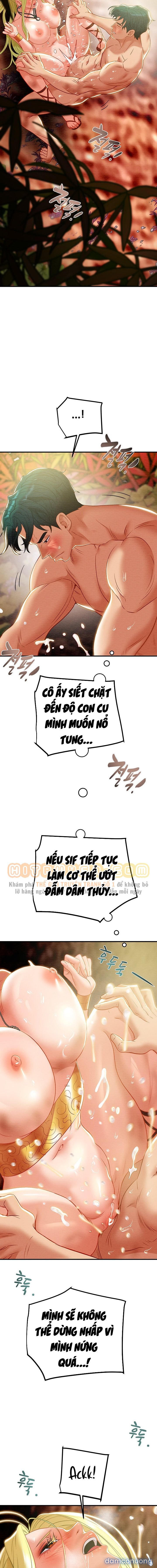 Cây Búa Thần 