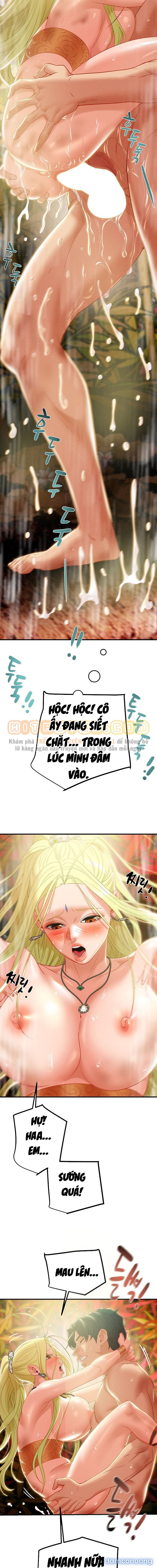 Cây Búa Thần 