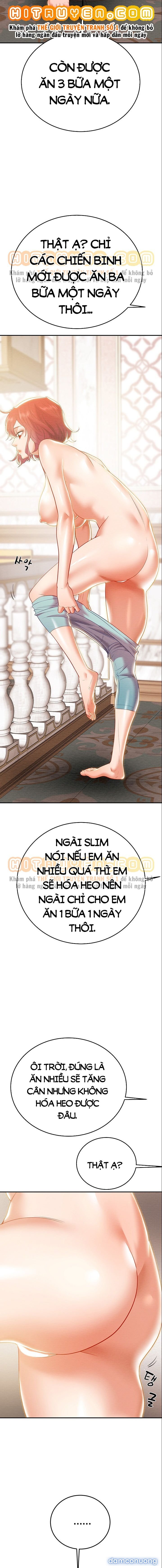 Cây Búa Thần 