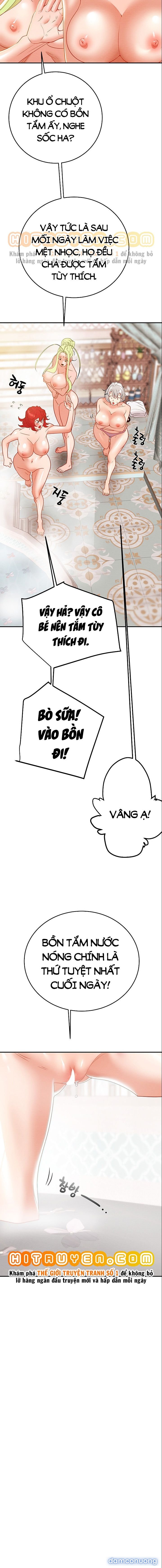 Cây Búa Thần 