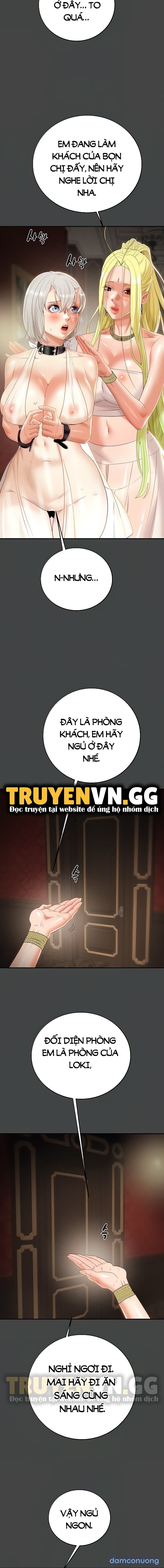 Cây Búa Thần 