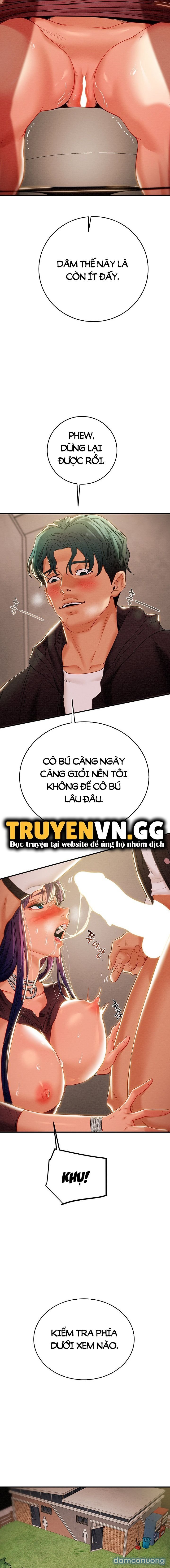 Cây Búa Thần 