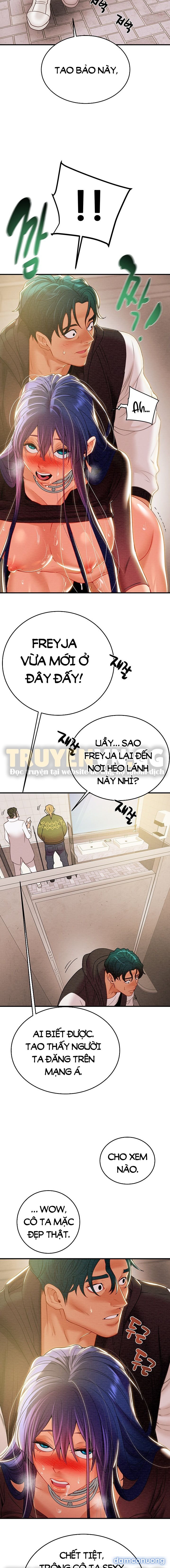 Cây Búa Thần 